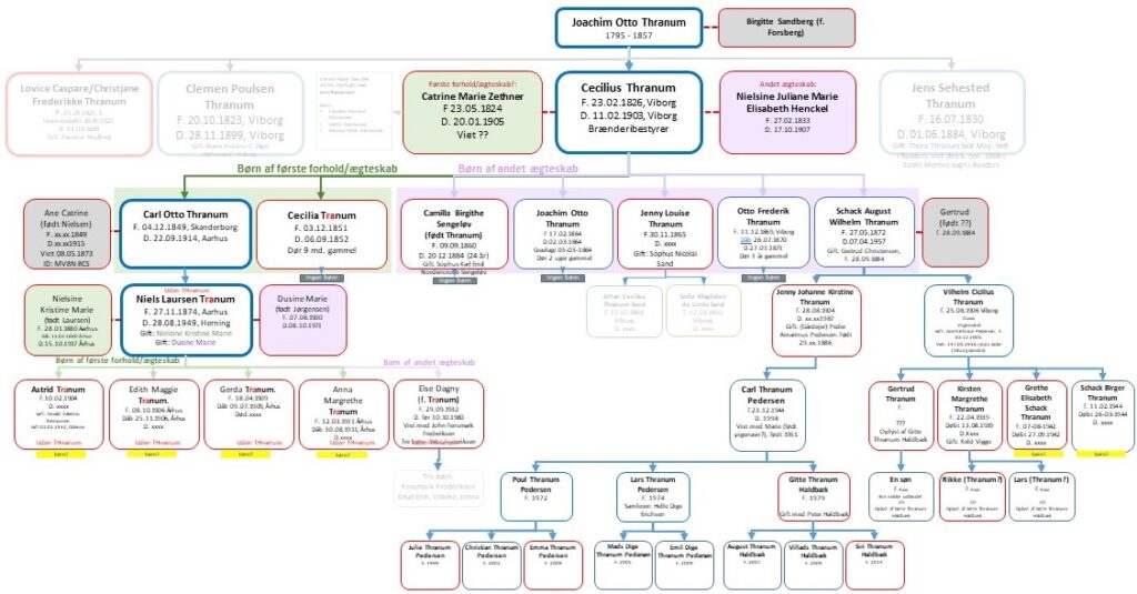 Cecillius Thranum, stamtræ